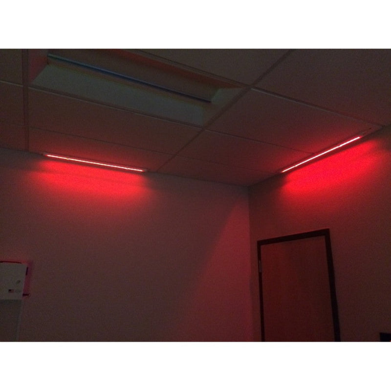 Sensory Lighting