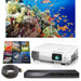 Calming Living Scenery Projector